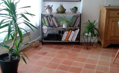 Visite conseil pour la rénovation d'un séjour à Boisemont (95) image 